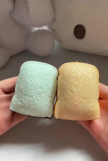 Crunchy Toast Squishy